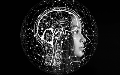 Thinking Inside the Body: